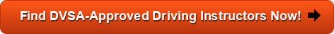 driving instructors